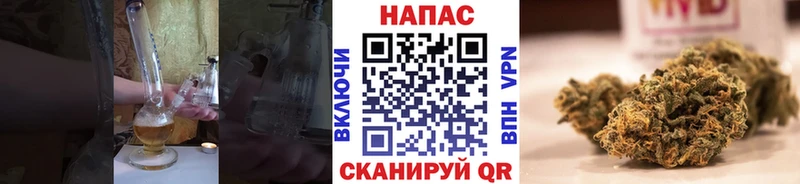 Канабис гибрид  Иноземцево 
